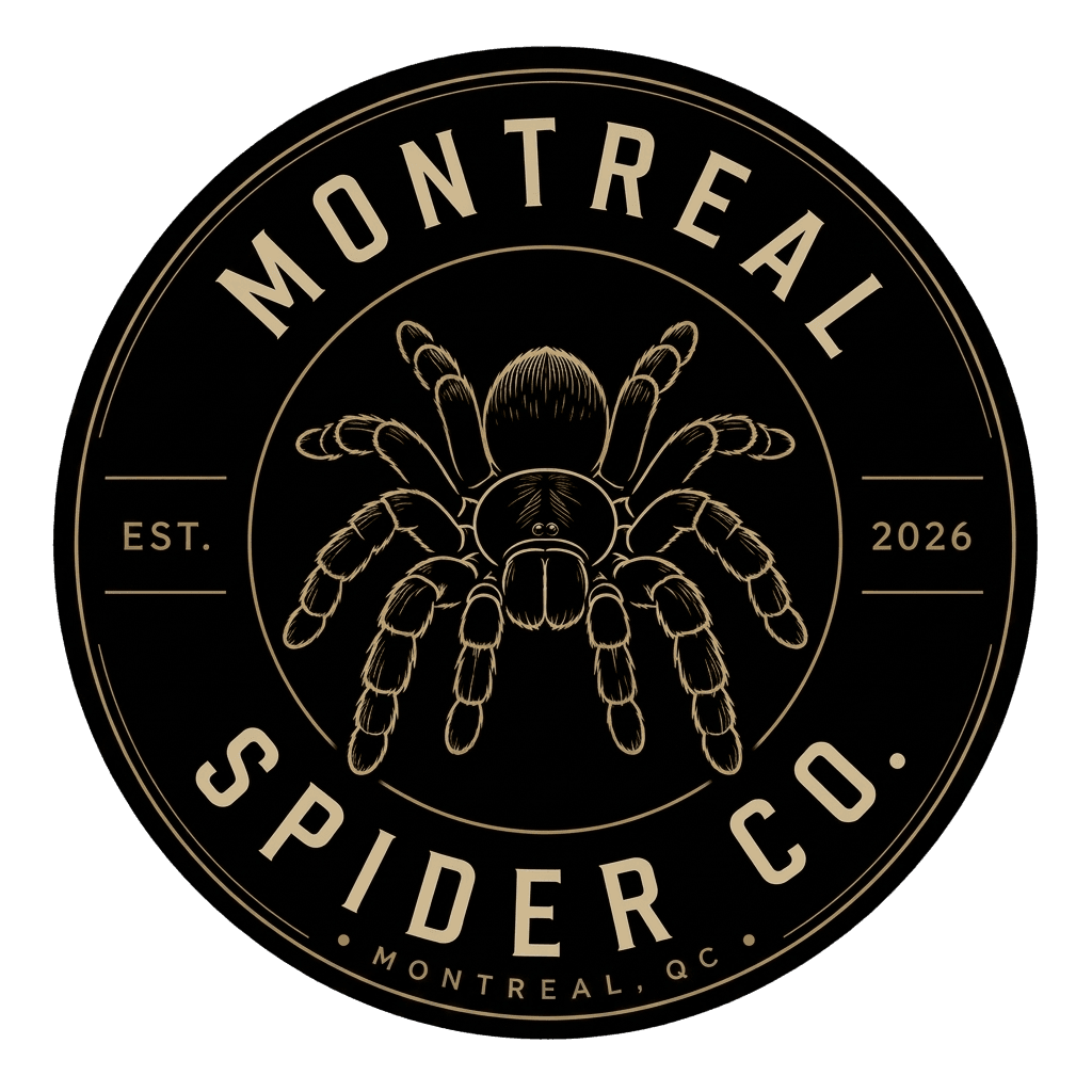 Montreal Spider Co.